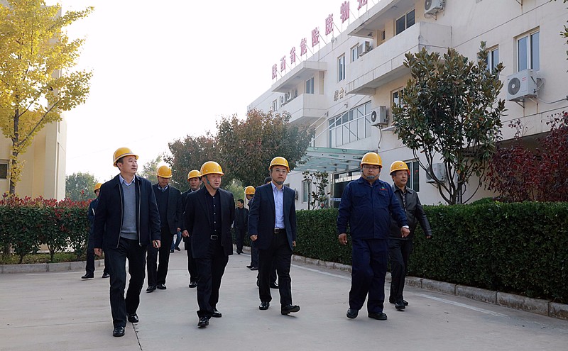 14782589776589646cLW.jpg 礼泉1.jpg