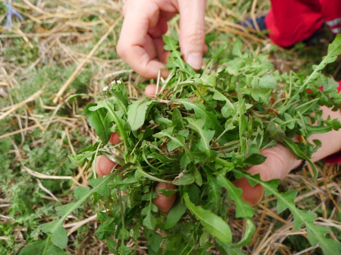 1493776830405889ZirY.jpg 4cab22b5gd83db22120ed&690.jpg