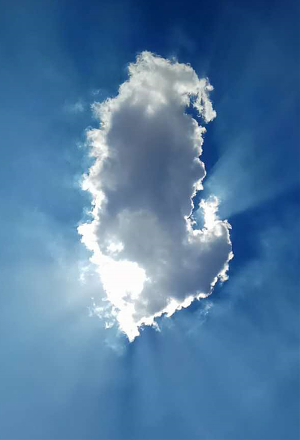 1497841064799736kZIt.jpg 美的不像样.jpg