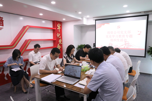1627611201370592dwXO.jpg 投资公司党支部召开党史学习教育专题组织生活会 (1)_副本.jpg